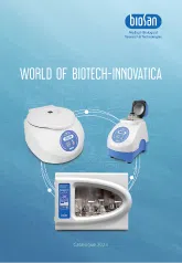 English 2023 version