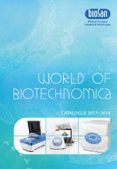 English 2017-2018 version