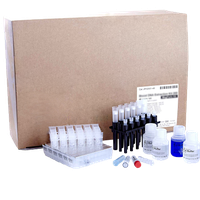 DNA/RNA purification