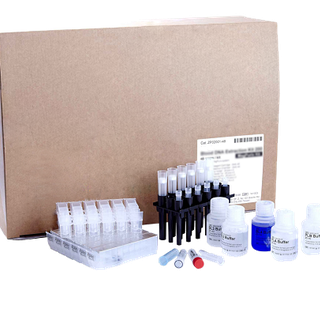 Reagents for BioMagPure 12