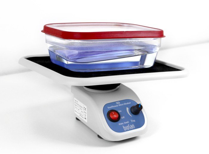 3D, Sunflower Mini-Shaker