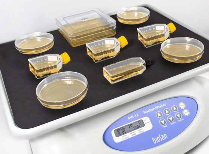 MR-12, Rocker-Shaker