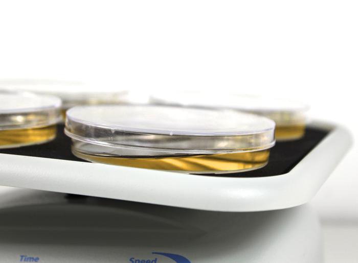 MR-1, Mini-Rocker Shaker