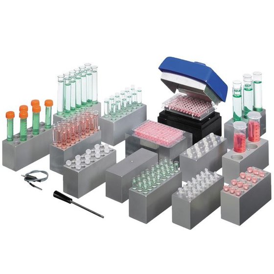 Dry block heating systems with interchangeable blocks