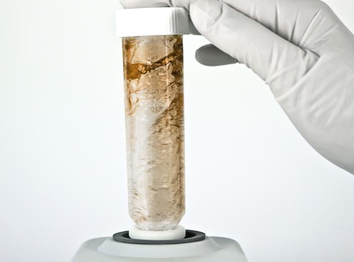 V-1 plus, Personal Vortex